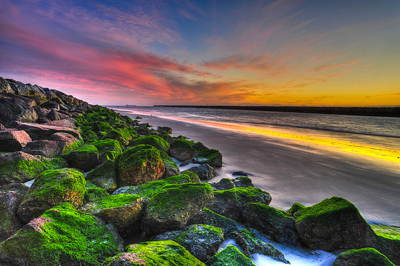 Seawall